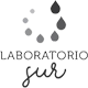 Laboratorio Sur
